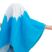 ショップ関連写真